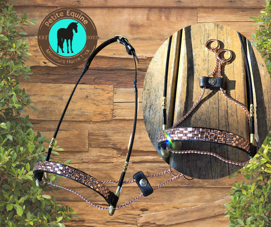 Royalty Bronze Show Halter - Large Size Petite Equine