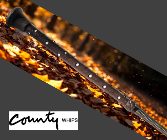 Childs Dressage Whip Brown County