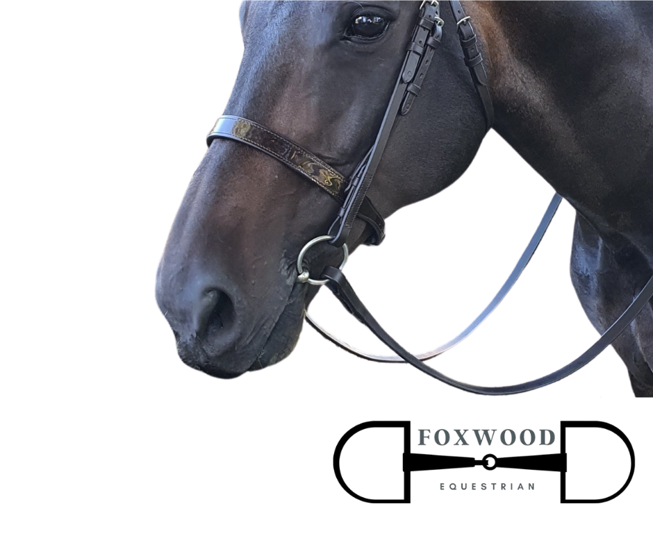 Hurlford Patent Leather Noseband Foxwood Equestrian | Showing Tack and Saddlery Store
