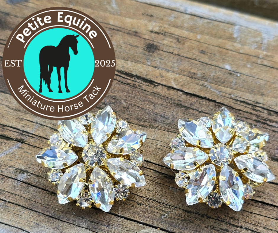 Petite Equine Conchos-Rhinestone Petite Equine