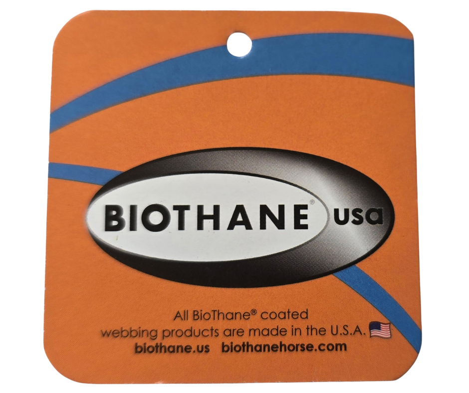 Petite Equine Show Lead- Short With Buckle End Petite Equine