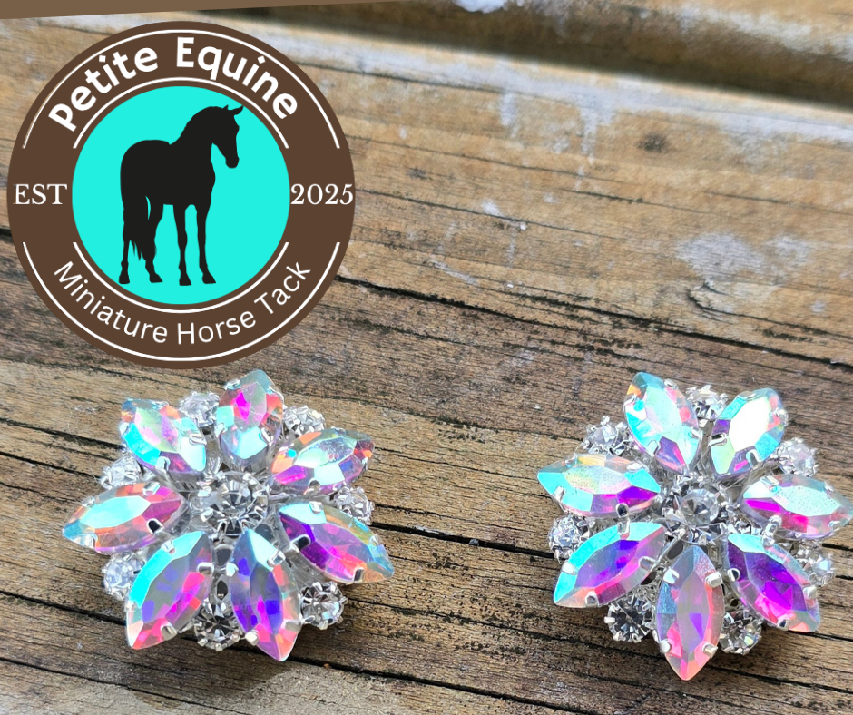 Petite Equine Conchos-AB Crystal Foxwood Equestrian - Showing Tack and Saddlery