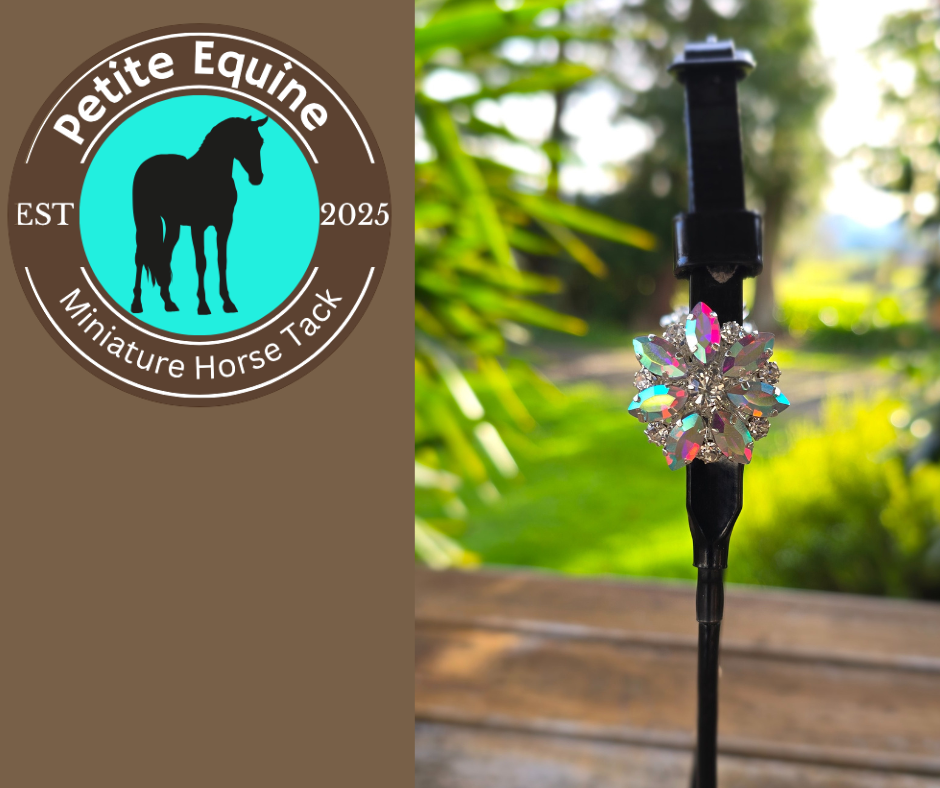 Petite Equine Conchos-AB Crystal Foxwood Equestrian - Showing Tack and Saddlery