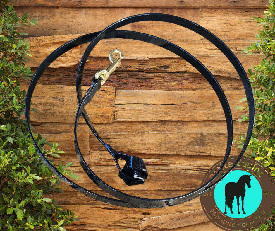 Petite Equine Long Show Lead-Snap Clip Petite Equine
