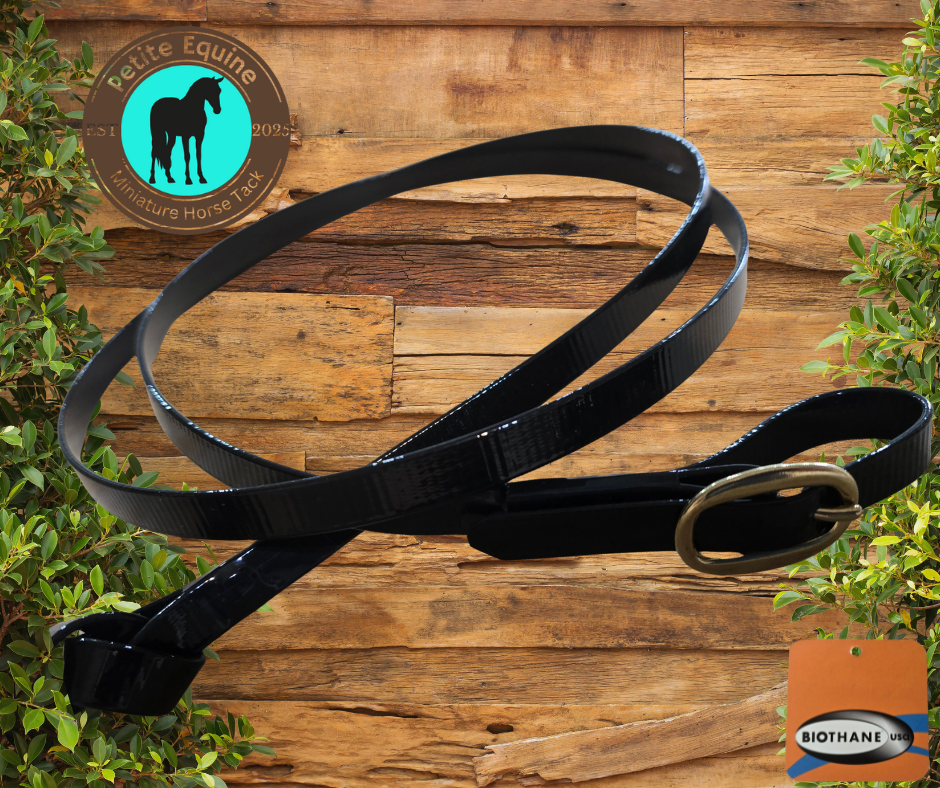Petite Equine Show Lead- Long With Buckle End Petite Equine