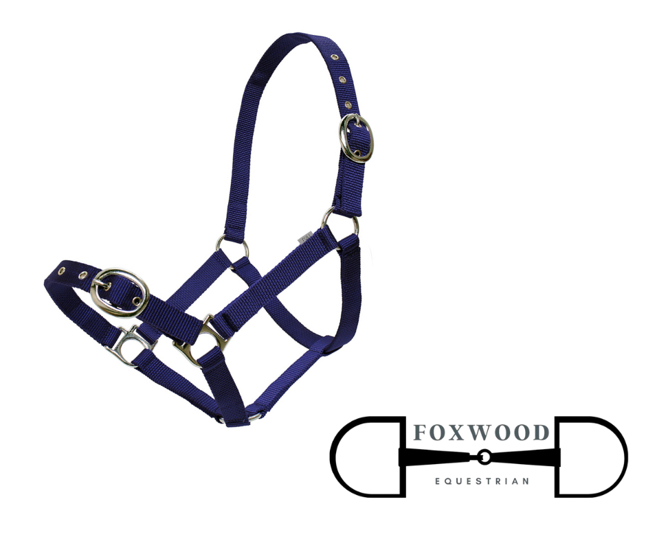 Webbing Halter Foxwood Equestrian