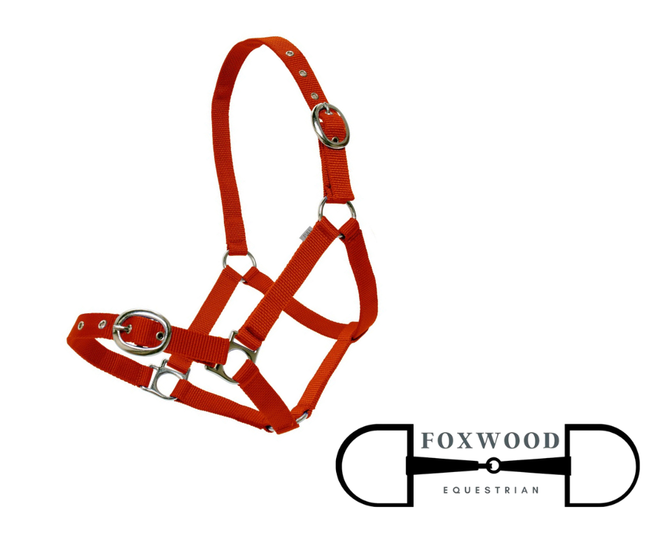 Webbing Halter Foxwood Equestrian