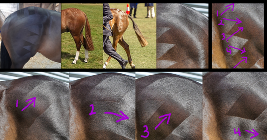 Let's Talk Showing Sharks Teeth Quarter Markers - Foxwood Equestrian