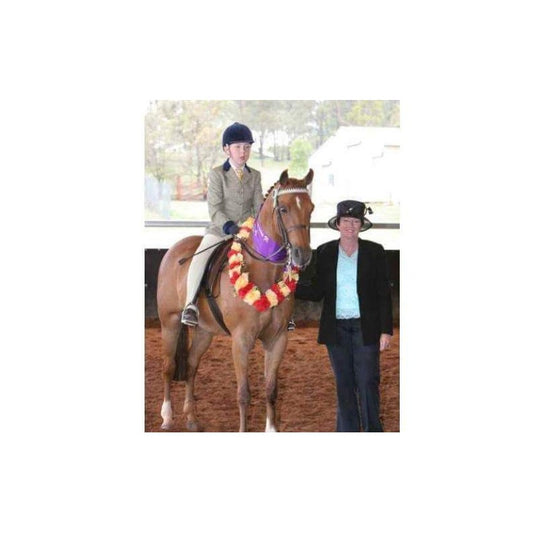 Lets Talk Showing Colour - Foxwood Equestrian