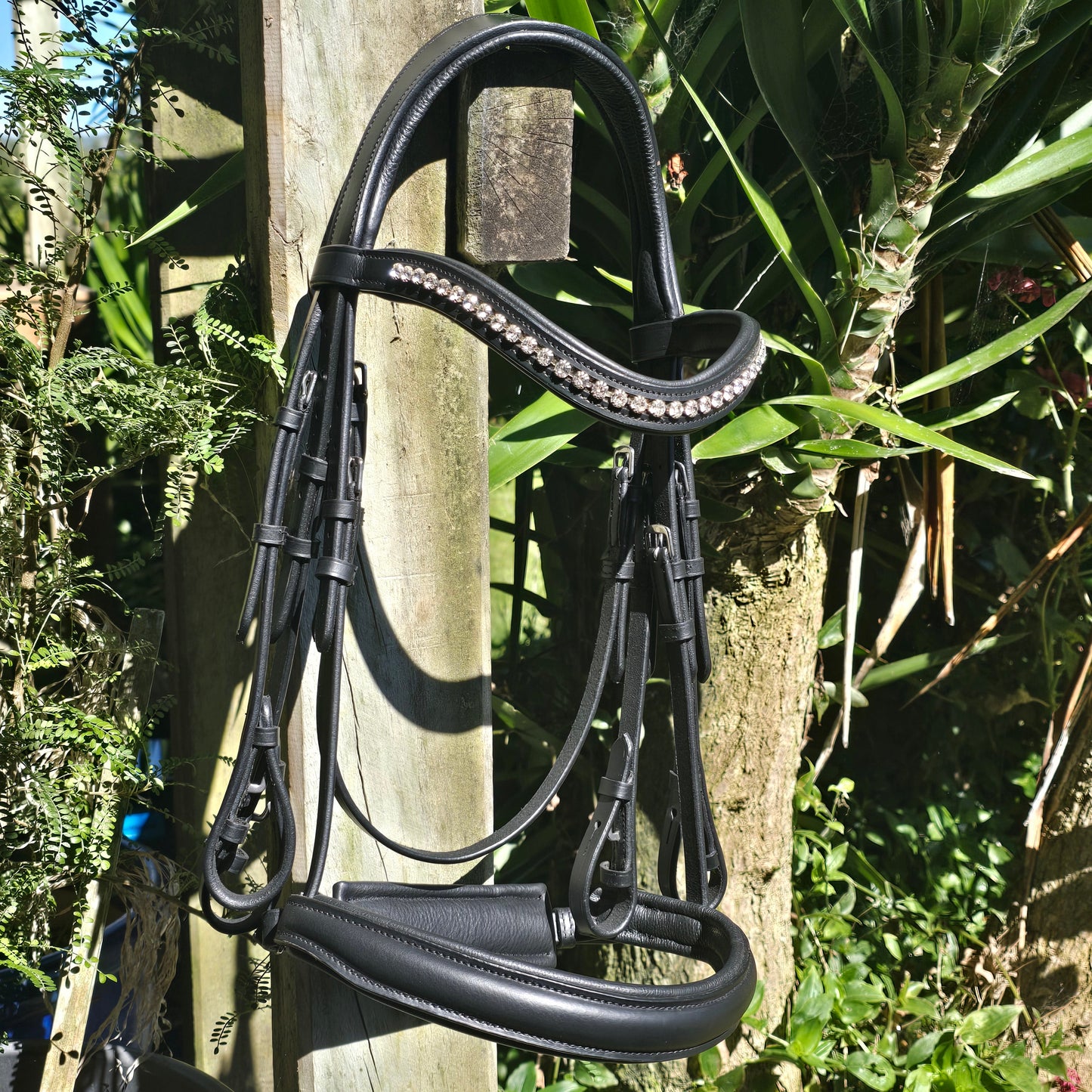 GES Reno Double Bridle| Black  Foxwood Equestrian | Showing Tack and Saddlery Store