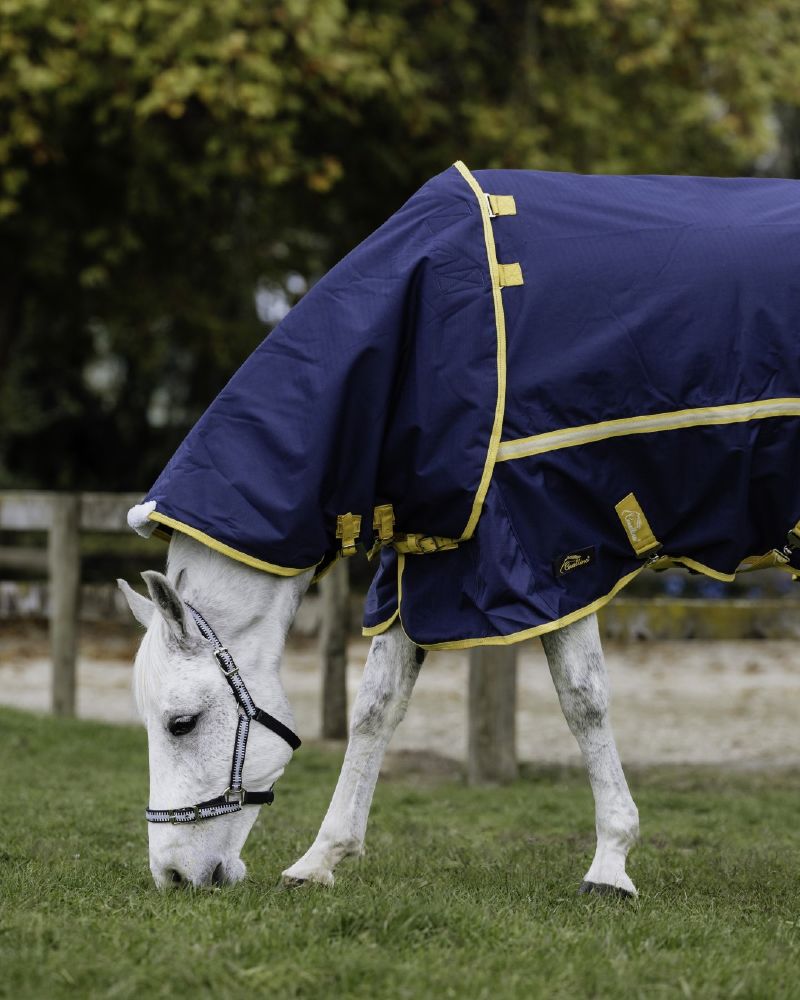 Northampton Neck Rug  Foxwood Equestrian | Showing Tack and Saddlery Store