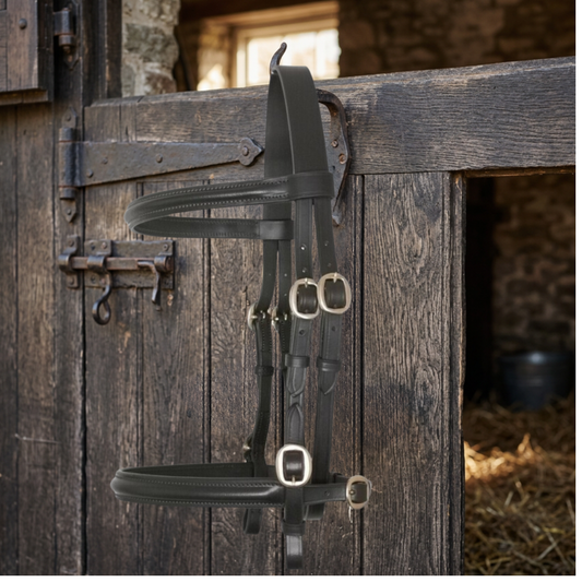 In-hand Show Bridle-Raised-Havana Brown  Foxwood Equestrian | Showing Tack and Saddlery Store