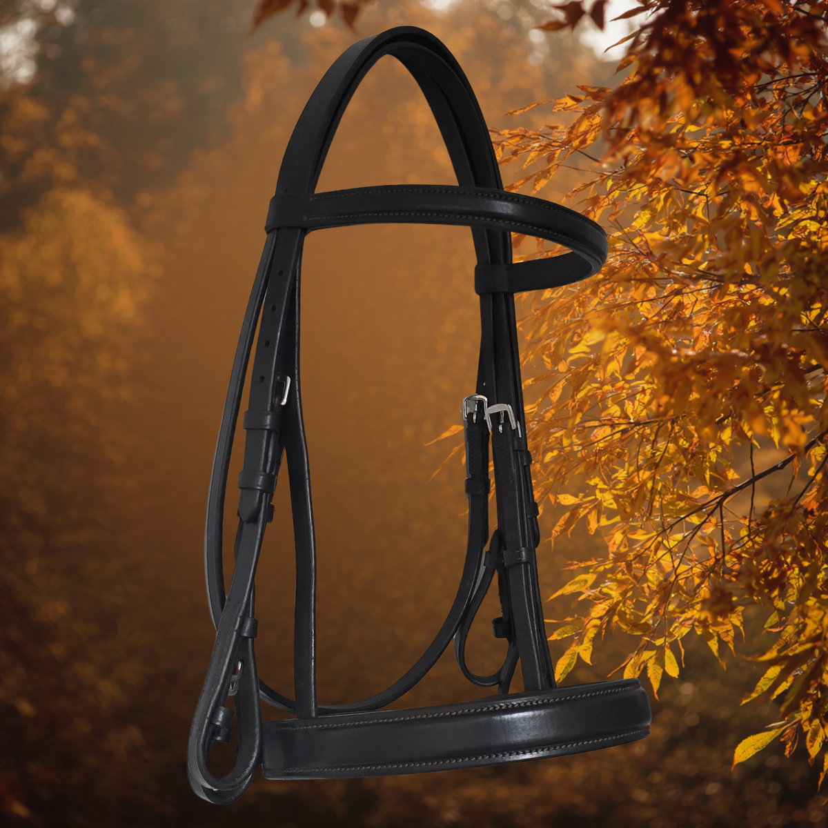 Windsor Weymouth |Havana Brown  Foxwood Equestrian | Showing Tack and Saddlery Store