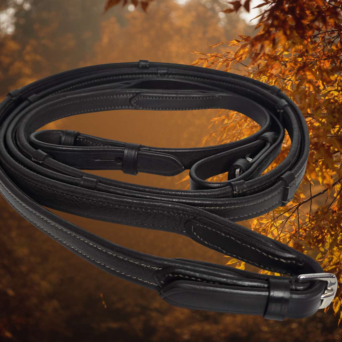Windsor Weymouth |Havana Brown  Foxwood Equestrian | Showing Tack and Saddlery Store