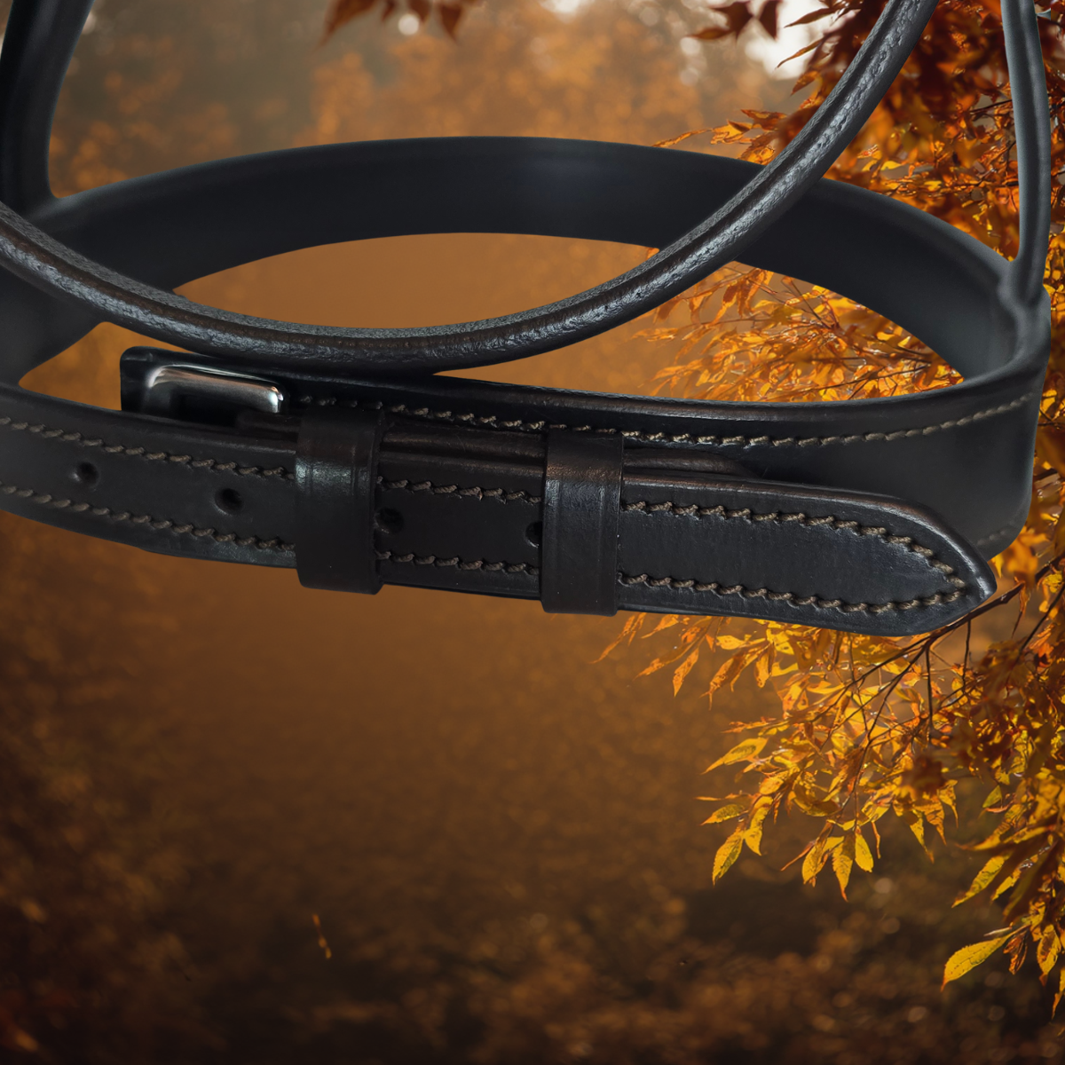 Windsor Weymouth |Havana Brown  Foxwood Equestrian | Showing Tack and Saddlery Store