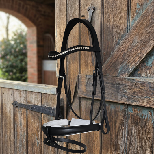 Claudia Snaffle Bridle| Black  Foxwood Equestrian | Showing Tack and Saddlery Store