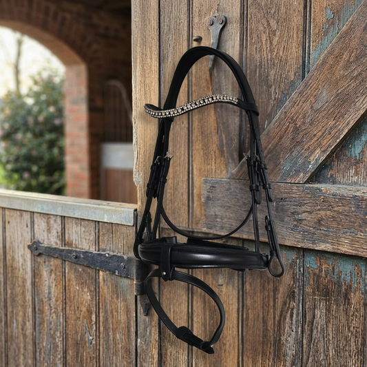 Sophie Snaffle Bridle| Black  Foxwood Equestrian | Showing Tack and Saddlery Store