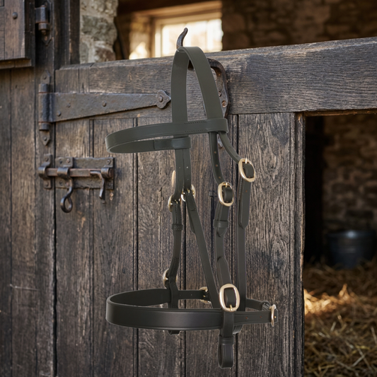 In-hand Show Bridle-Flat-Havana Brown  Foxwood Equestrian | Showing Tack and Saddlery Store