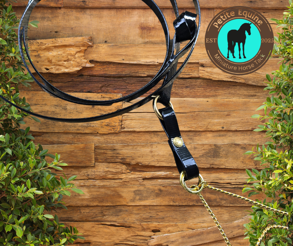 Petite Equine Safetee Show Lead- 6ft Petite Equine