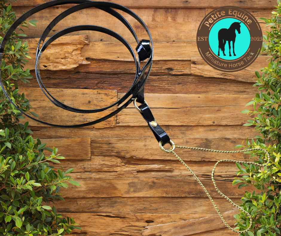 Petite Equine Safetee Show Lead- 6ft Petite Equine