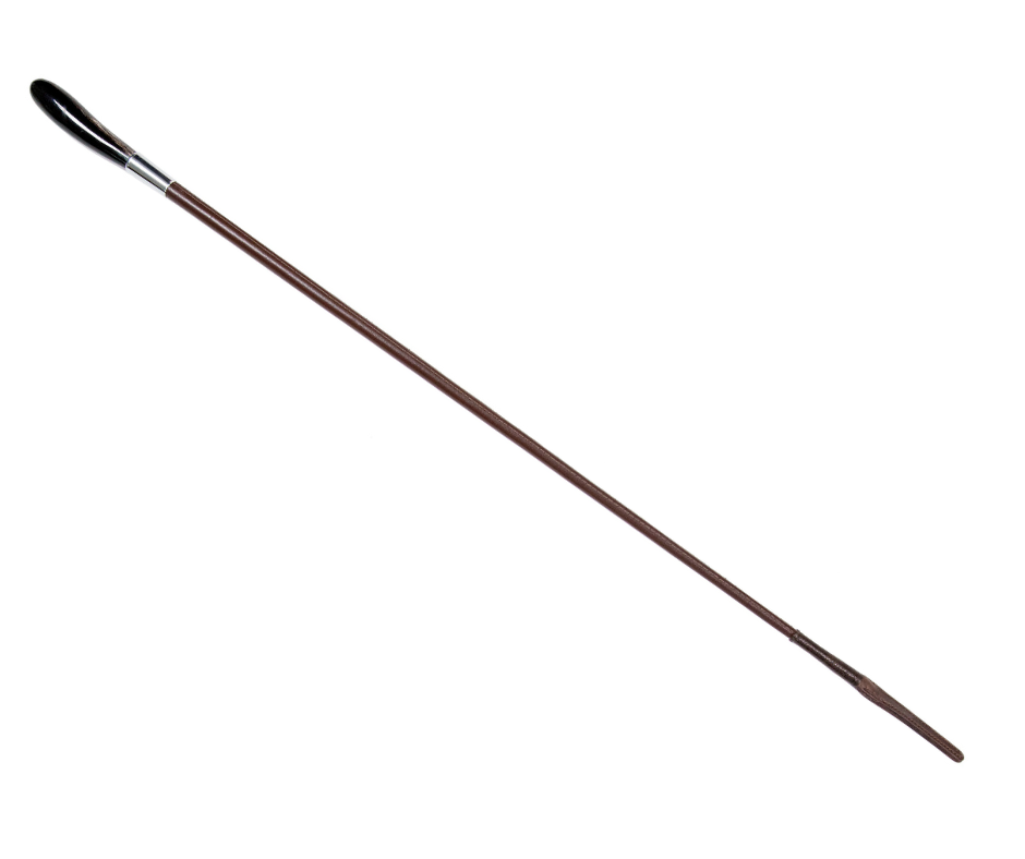 Buffalo Handle Leather Show Whip - Brown County